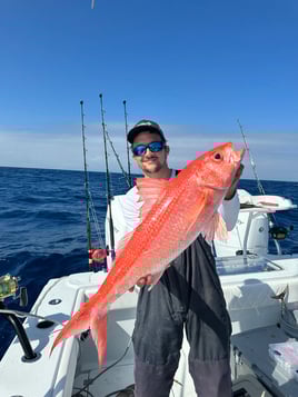 4-8 Hour Offshore Trip