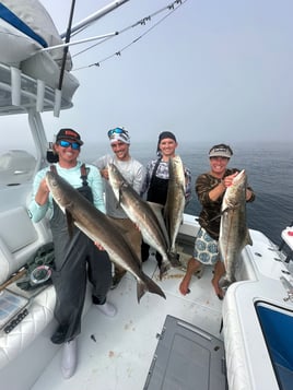 4-8 Hour Offshore Trip