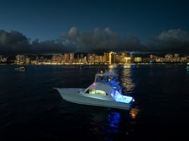 Private Sunset + Fireworks Cruise