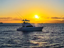 Private Sunset + Fireworks Cruise