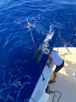 4-8 Hours Kona Fishing Trip