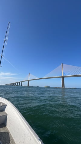 Tampa bay fishing