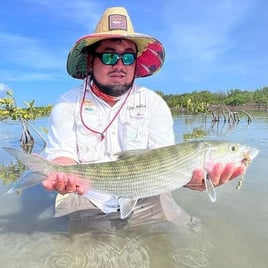 8 Hour Fly/Spin fishing Trip