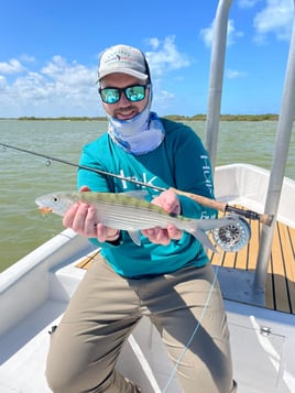4 hour Fly/Spin fishing trip 