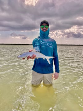 4 hour Fly/Spin fishing trip 