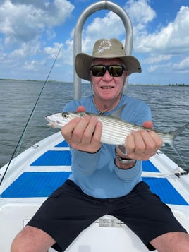 4 hour Fly/Spin fishing trip 