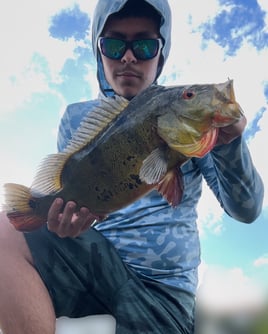 Land Based Peacock Bass Trip