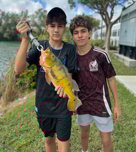 Land Based Peacock Bass Trip