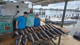 Inshore Fishing Trip 
