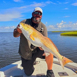 Inshore Fishing Trip 