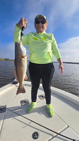 Inshore Fishing Trip 