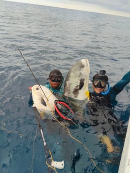 Half Day Trip – Spearfishing