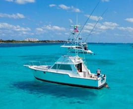 10 Hr Big Game Fishing