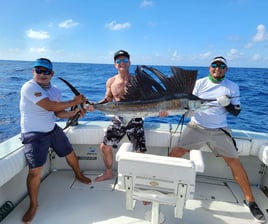 10 Hr Big Game Fishing