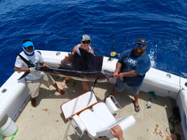 10 Hr Big Game Fishing