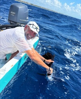 Full Day Gimme All Package