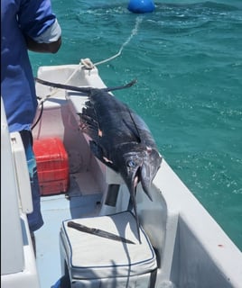 Full Day Gimme All Package