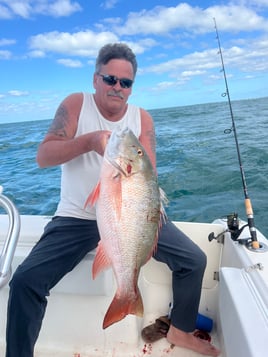 1/2 day Inshore Fishing