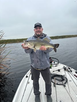 Trophy Bass Trips – Headwaters