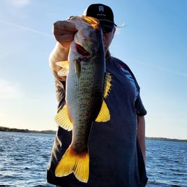 4-8 Hour Trip – Headwaters