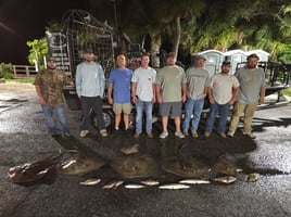 Bowfishing / Seasonal Shark Fishing