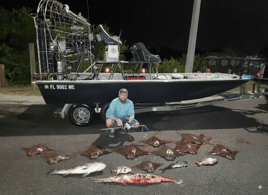 Bowfishing / Seasonal Shark Fishing