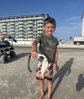 3 Hour Trip Daytona Beach