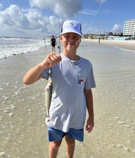 3 Hour Trip Daytona Beach