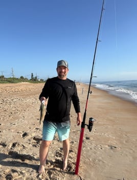 3 Hour Trip Daytona Beach