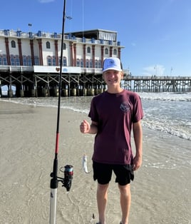 3 Hour Trip Daytona Beach