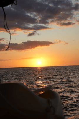 Public Sunset Catamaran