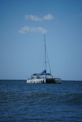 Public Sunset Catamaran