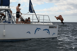 Public Sunset Catamaran