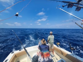 Offshore on 46 Bertram