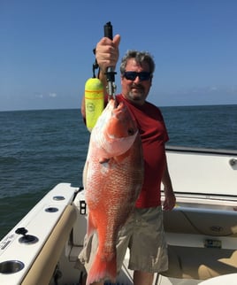 Sarasota Inshore/Nearshore