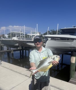 Sarasota Inshore/Nearshore