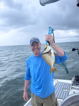 Sarasota Inshore/Nearshore