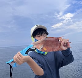 Sarasota Inshore/Nearshore