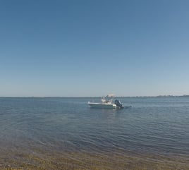 Sarasota Inshore/Nearshore