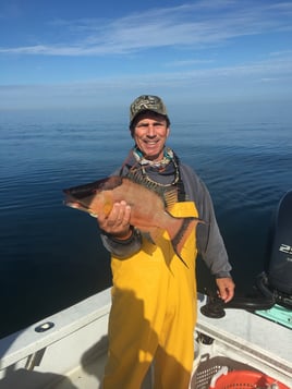 4-8 Hour Inshore Trip