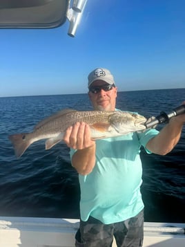 4-8 Hour Inshore Trip