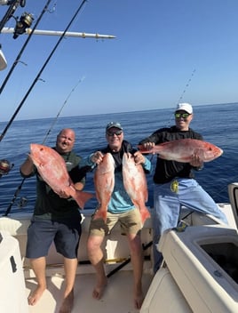 Offshore Fishing Trip