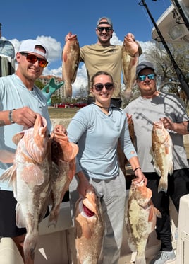 Sarasota Offshore W/ Capt Mike
