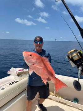 Sarasota Offshore W/ Capt Mike
