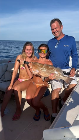 Sarasota Offshore W/ Capt Mike
