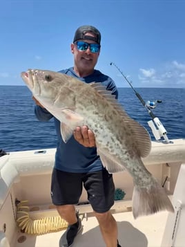 Sarasota Offshore W/ Capt Mike