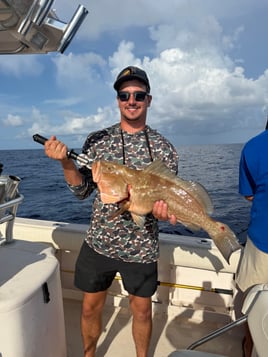 Sarasota Offshore W/ Capt Mike