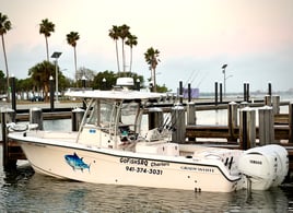 Sarasota Offshore W/ Capt Mike