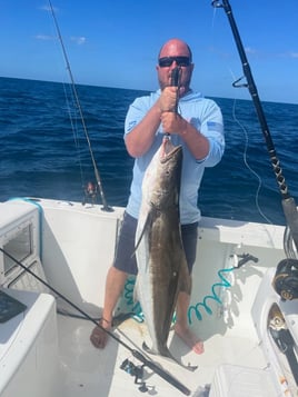 Sarasota Offshore W/ Capt Mike