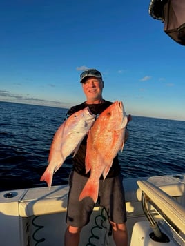 Sarasota Offshore W/ Capt Mike